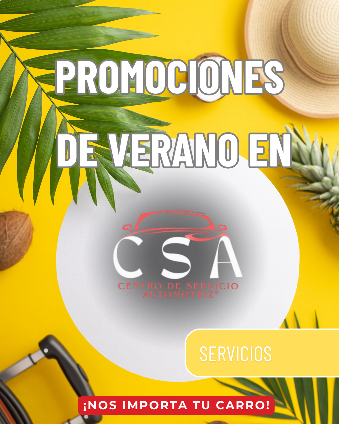 Promo 11